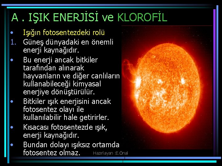 A. IŞIK ENERJİSİ ve KLOROFİL • Işığın fotosentezdeki rolü 1. Güneş dünyadaki en önemli