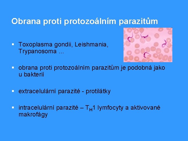 Obrana proti protozoálním parazitům § Toxoplasma gondii, Leishmania, Trypanosoma … § obrana proti protozoálním