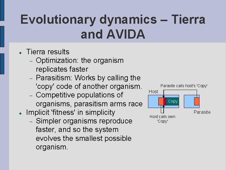 Evolutionary dynamics – Tierra and AVIDA Tierra results Optimization: the organism replicates faster Parasitism: