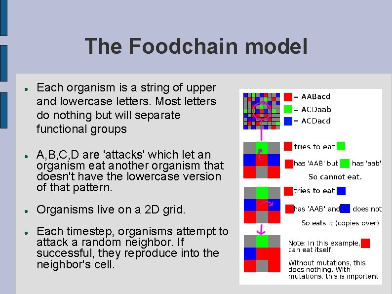 The Foodchain model Each organism is a string of upper and lowercase letters. Most