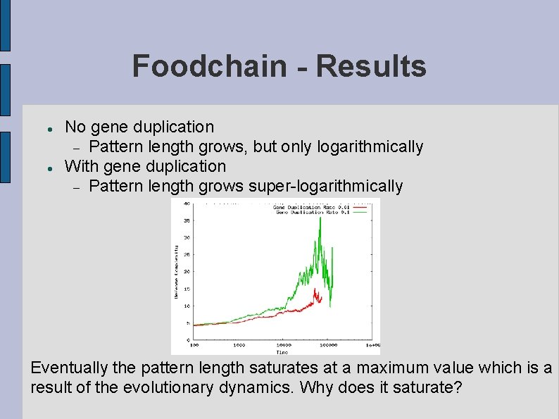 Foodchain - Results No gene duplication Pattern length grows, but only logarithmically With gene
