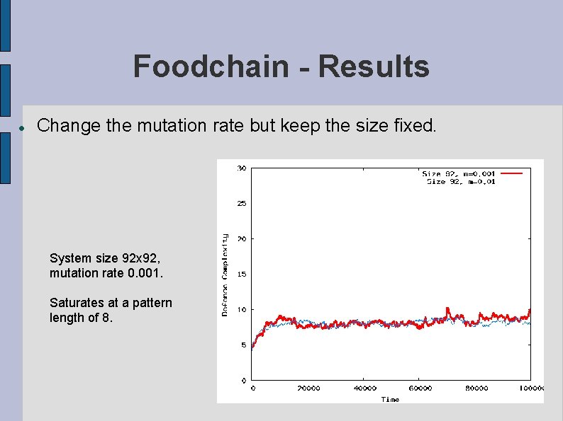 Foodchain - Results Change the mutation rate but keep the size fixed. System size
