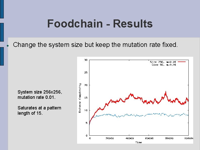 Foodchain - Results Change the system size but keep the mutation rate fixed. System