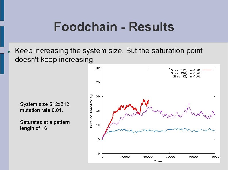 Foodchain - Results Keep increasing the system size. But the saturation point doesn't keep