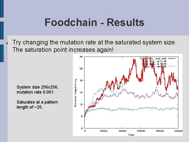 Foodchain - Results Try changing the mutation rate at the saturated system size. The