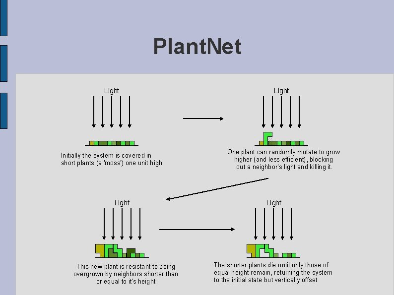 Plant. Net Light Initially the system is covered in short plants (a 'moss') one