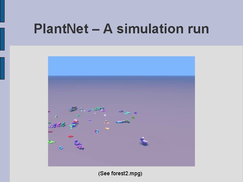 Plant. Net – A simulation run (See forest 2. mpg) 