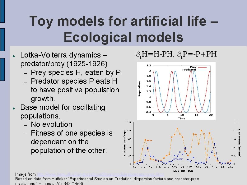 Toy models for artificial life – Ecological models Lotka-Volterra dynamics – predator/prey (1925 -1926)