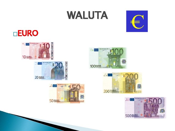 WALUTA �EURO 