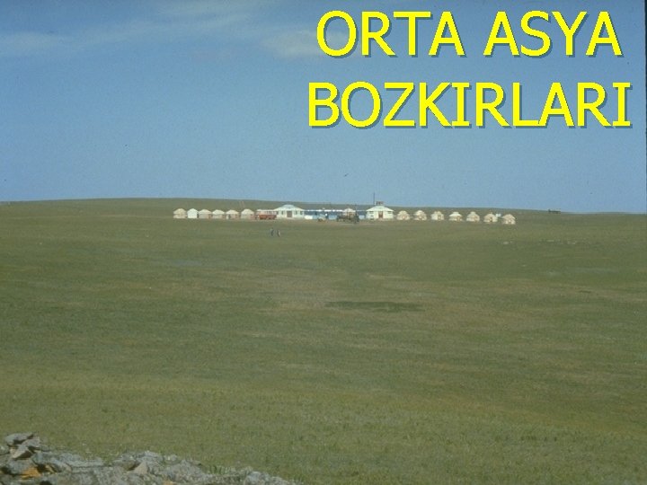 ORTA ASYA BOZKIRLARI 