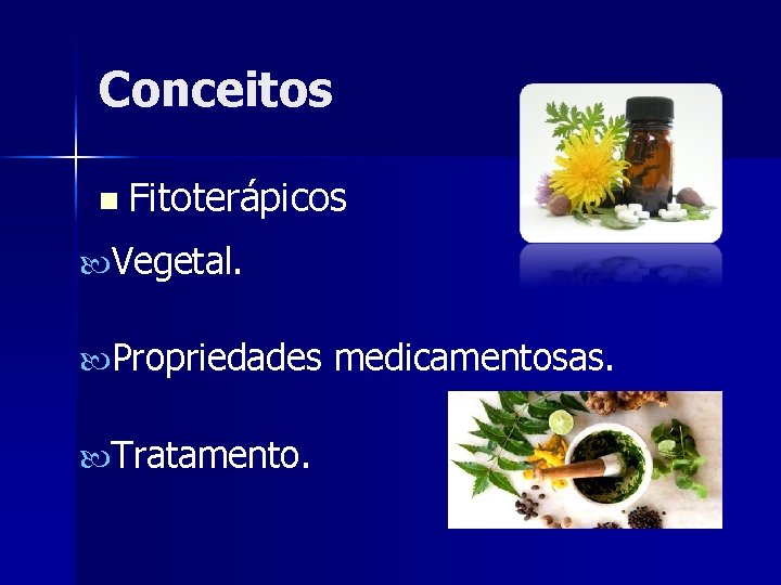 Conceitos n Fitoterápicos Vegetal. Propriedades medicamentosas. Tratamento. 