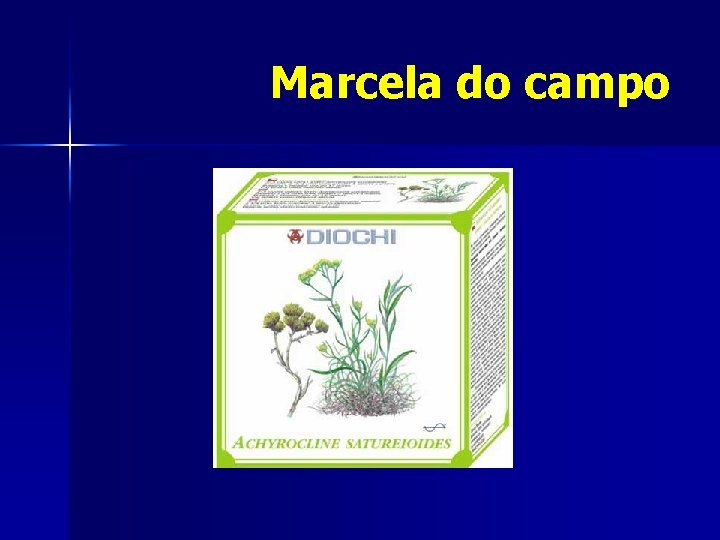 Marcela do campo 