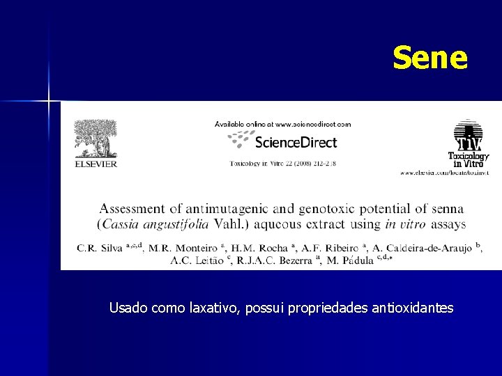 Sene Usado como laxativo, possui propriedades antioxidantes 