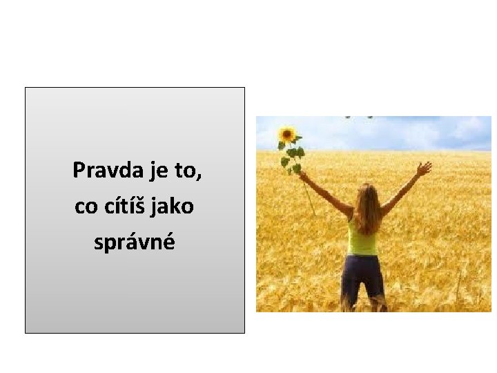 Pravda je to, co cítíš jako správné 