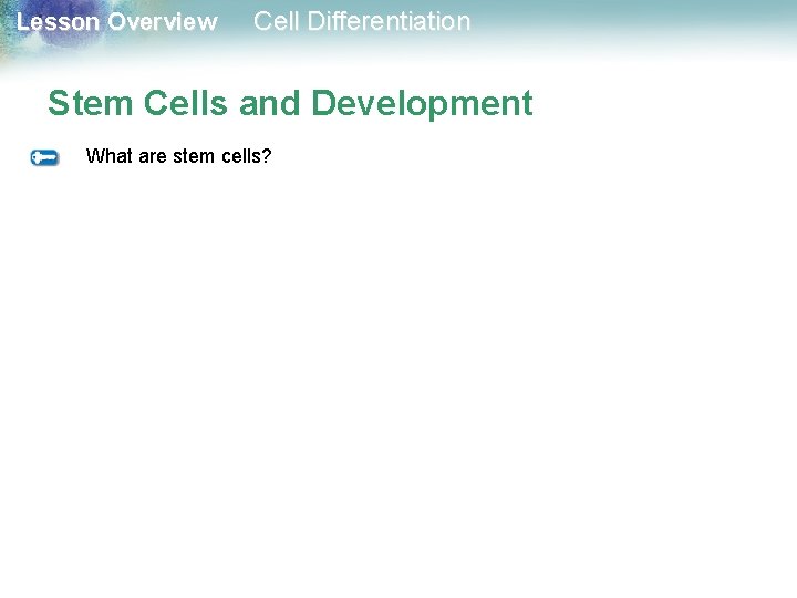 Lesson Overview Cell Differentiation Stem Cells and Development What are stem cells? Lesson Overview Cell Differentiation Stem Cells and Development What are stem cells?