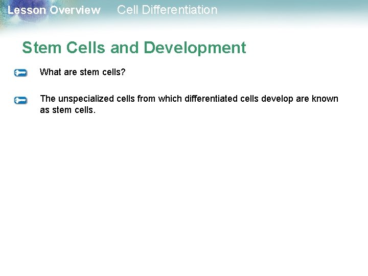 Lesson Overview Cell Differentiation Stem Cells and Development What are stem cells? The unspecialized Lesson Overview Cell Differentiation Stem Cells and Development What are stem cells? The unspecialized