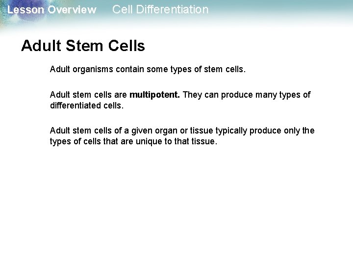 Lesson Overview Cell Differentiation Adult Stem Cells Adult organisms contain some types of stem Lesson Overview Cell Differentiation Adult Stem Cells Adult organisms contain some types of stem