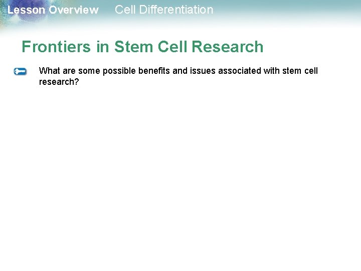 Lesson Overview Cell Differentiation Frontiers in Stem Cell Research What are some possible benefits Lesson Overview Cell Differentiation Frontiers in Stem Cell Research What are some possible benefits