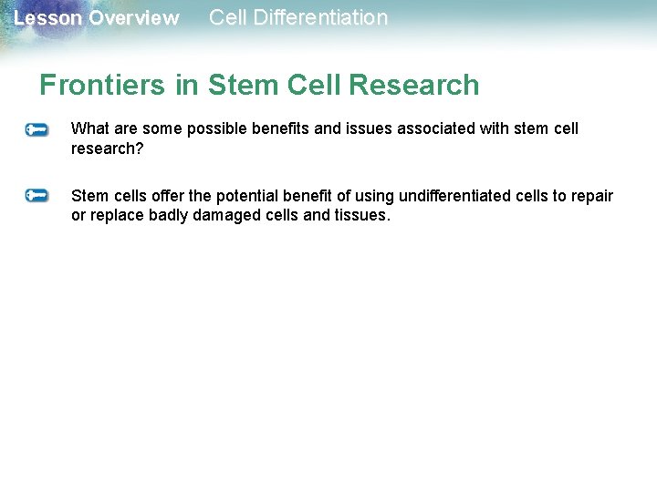 Lesson Overview Cell Differentiation Frontiers in Stem Cell Research What are some possible benefits Lesson Overview Cell Differentiation Frontiers in Stem Cell Research What are some possible benefits