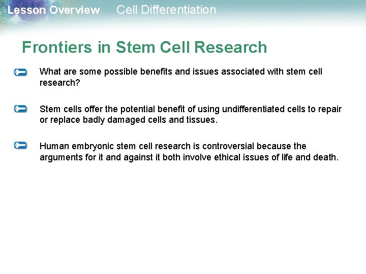 Lesson Overview Cell Differentiation Frontiers in Stem Cell Research What are some possible benefits Lesson Overview Cell Differentiation Frontiers in Stem Cell Research What are some possible benefits