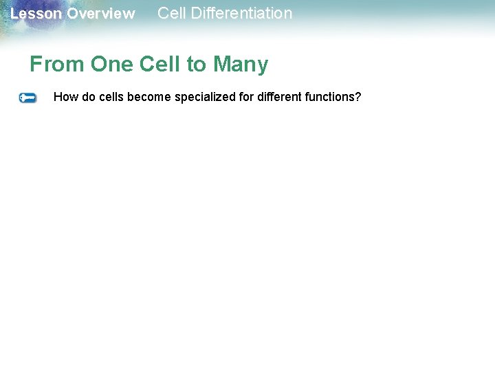 Lesson Overview Cell Differentiation From One Cell to Many How do cells become specialized Lesson Overview Cell Differentiation From One Cell to Many How do cells become specialized