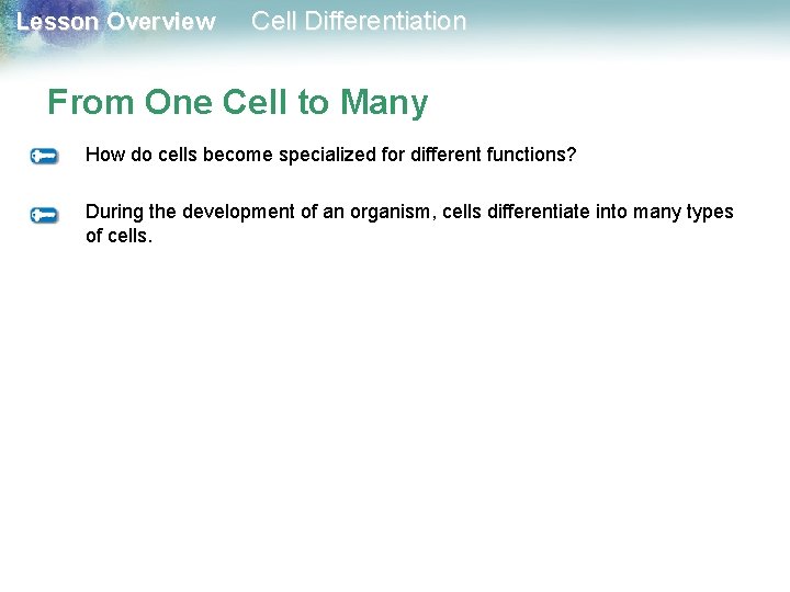 Lesson Overview Cell Differentiation From One Cell to Many How do cells become specialized Lesson Overview Cell Differentiation From One Cell to Many How do cells become specialized