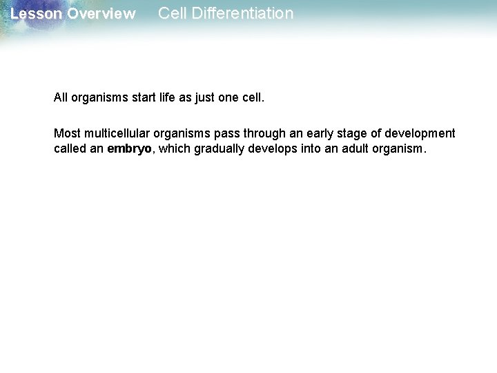 Lesson Overview Cell Differentiation All organisms start life as just one cell. Most multicellular Lesson Overview Cell Differentiation All organisms start life as just one cell. Most multicellular