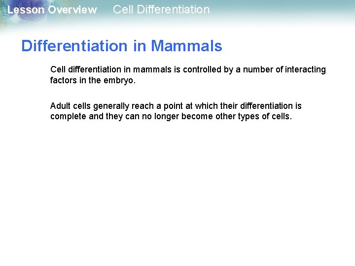Lesson Overview Cell Differentiation in Mammals Cell differentiation in mammals is controlled by a Lesson Overview Cell Differentiation in Mammals Cell differentiation in mammals is controlled by a