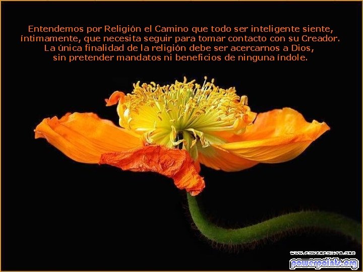 Entendemos por Religión el Camino que todo ser inteligente siente, íntimamente, que necesita seguir Entendemos por Religión el Camino que todo ser inteligente siente, íntimamente, que necesita seguir