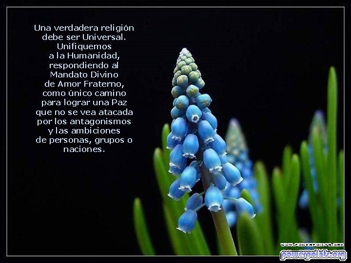 Una verdadera religión debe ser Universal. Unifiquemos a la Humanidad, respondiendo al Mandato Divino Una verdadera religión debe ser Universal. Unifiquemos a la Humanidad, respondiendo al Mandato Divino