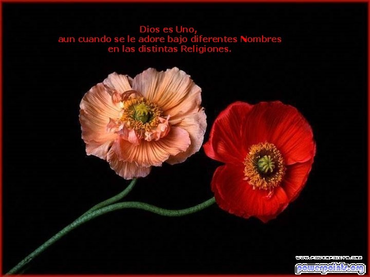 Dios es Uno, aun cuando se le adore bajo diferentes Nombres en las distintas Dios es Uno, aun cuando se le adore bajo diferentes Nombres en las distintas