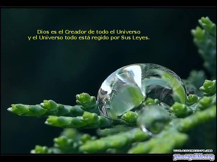 Dios es el Creador de todo el Universo y el Universo todo está regido Dios es el Creador de todo el Universo y el Universo todo está regido