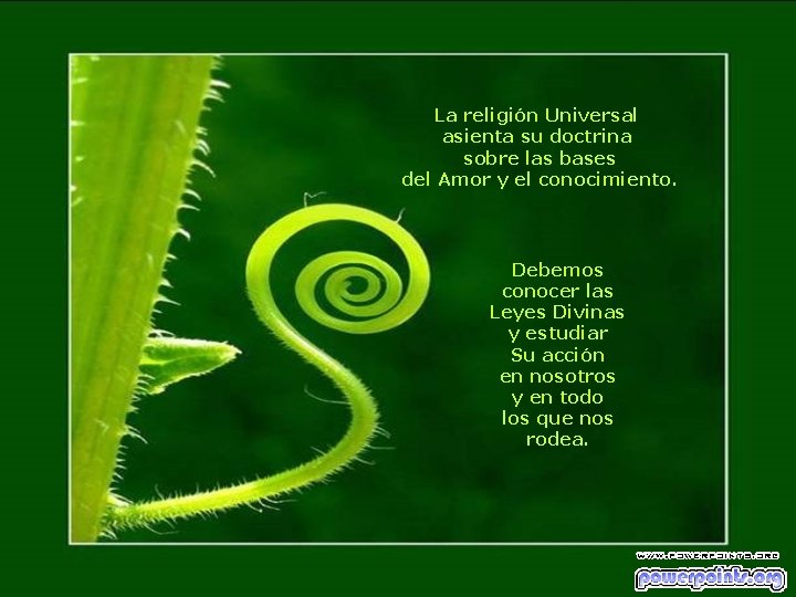 La religión Universal asienta su doctrina sobre las bases del Amor y el conocimiento. La religión Universal asienta su doctrina sobre las bases del Amor y el conocimiento.
