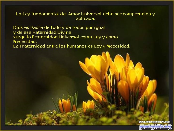 La Ley fundamental del Amor Universal debe ser comprendida y aplicada. Dios es Padre La Ley fundamental del Amor Universal debe ser comprendida y aplicada. Dios es Padre