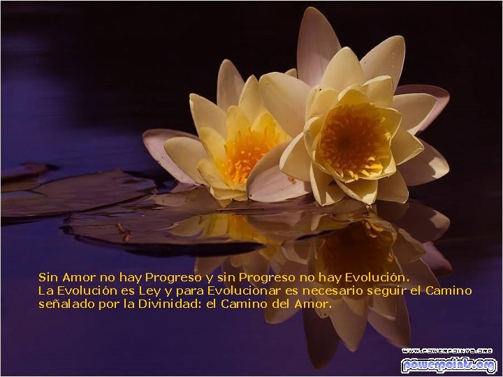 Sin Amor no hay Progreso y sin Progreso no hay Evolución. La Evolución es Sin Amor no hay Progreso y sin Progreso no hay Evolución. La Evolución es