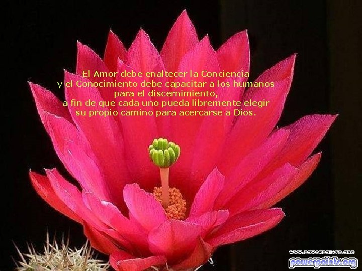 El Amor debe enaltecer la Conciencia y el Conocimiento debe capacitar a los humanos El Amor debe enaltecer la Conciencia y el Conocimiento debe capacitar a los humanos