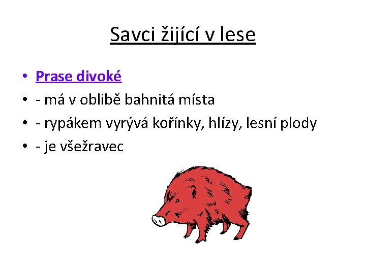 Savci žijící v lese • • Prase divoké - má v oblibě bahnitá místa