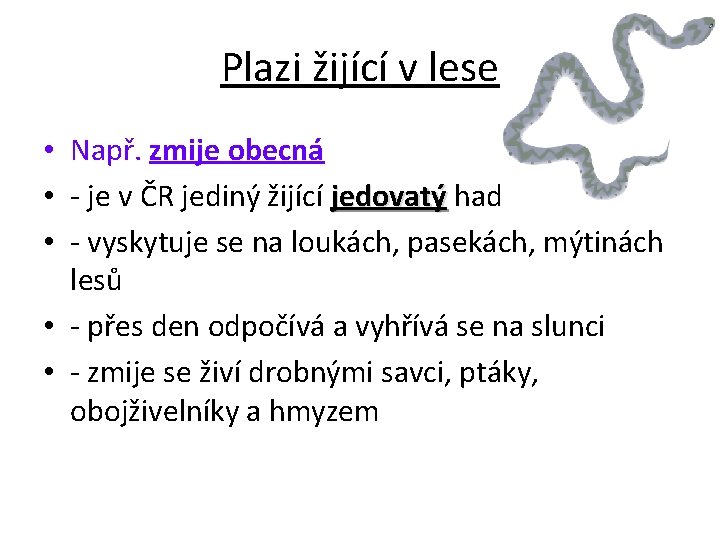 Plazi žijící v lese • Např. zmije obecná • - je v ČR jediný