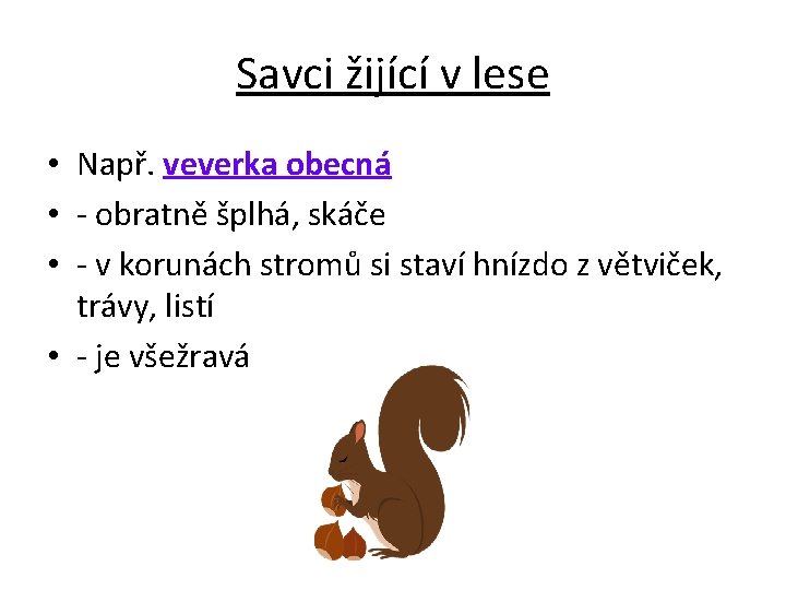 Savci žijící v lese • Např. veverka obecná • - obratně šplhá, skáče •