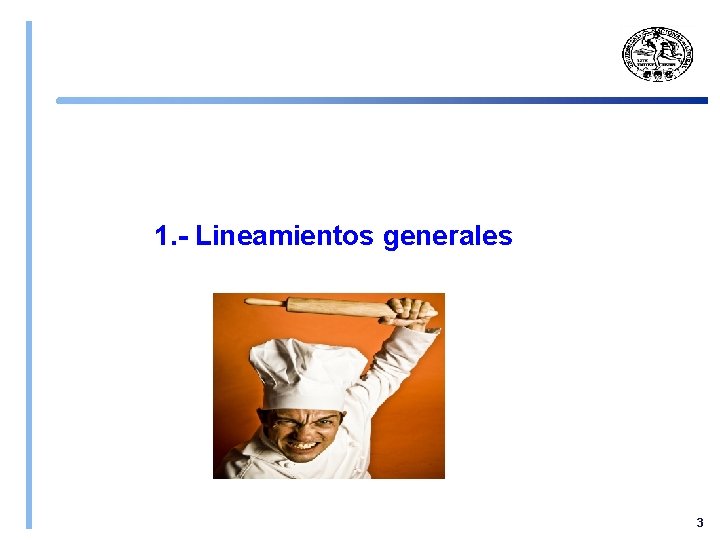 1. - Lineamientos generales 3 