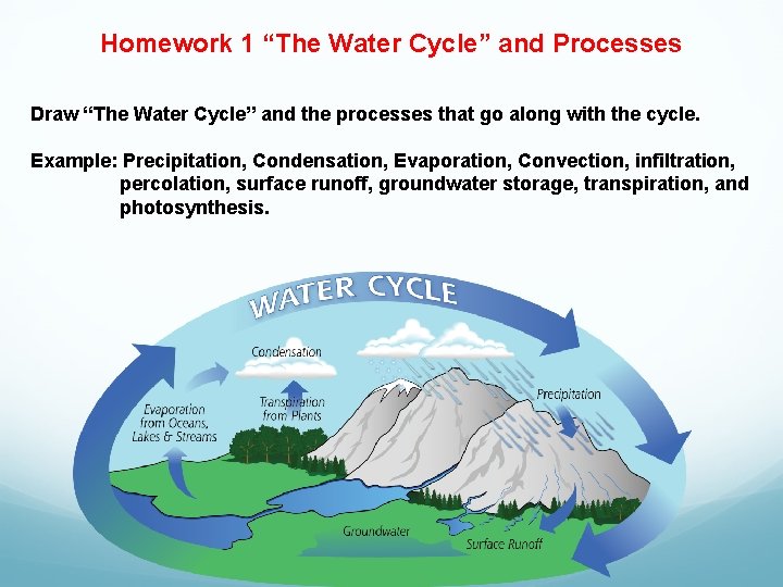 Homework 1 “The Water Cycle” and Processes Draw “The Water Cycle” and the processes