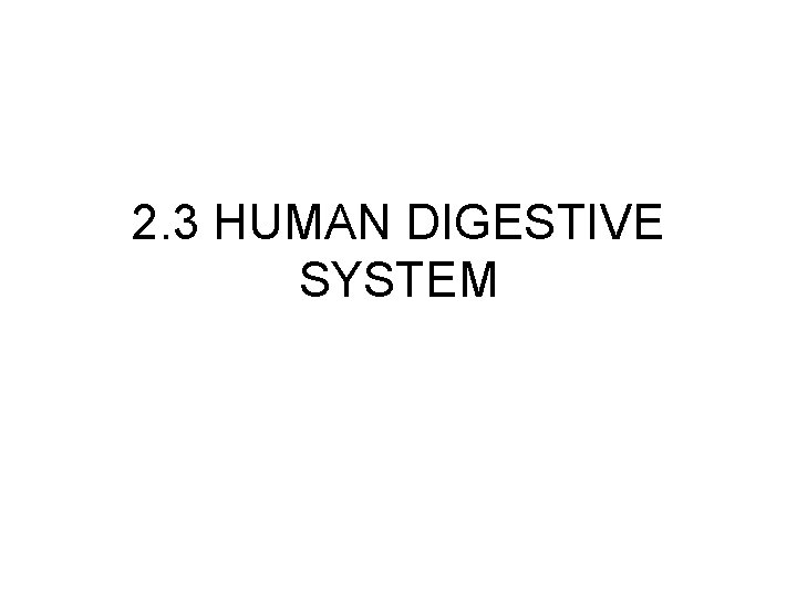 2. 3 HUMAN DIGESTIVE SYSTEM 