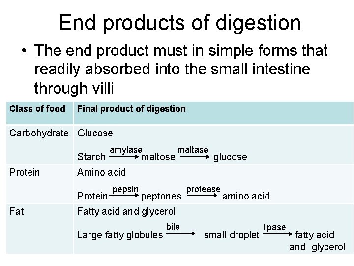 End products of digestion • The end product must in simple forms that readily End products of digestion • The end product must in simple forms that readily