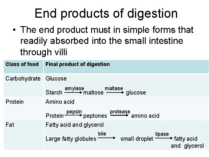 End products of digestion • The end product must in simple forms that readily