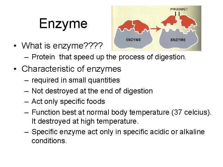 Enzyme • What is enzyme? ? – Protein that speed up the process of