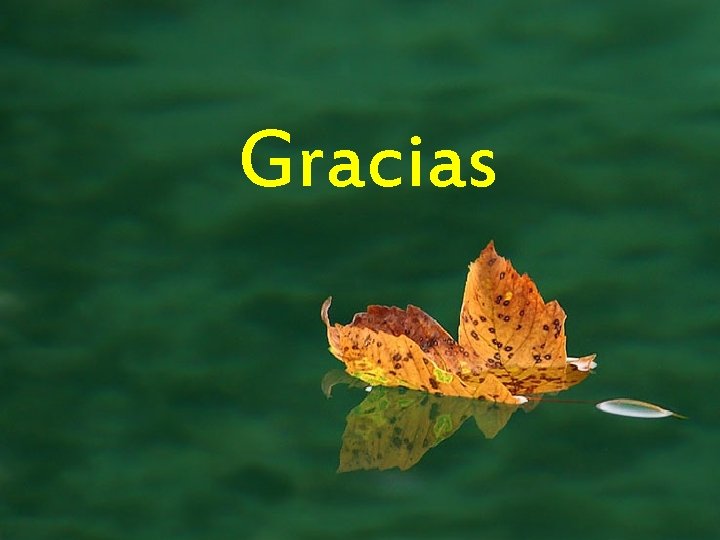 Gracias 