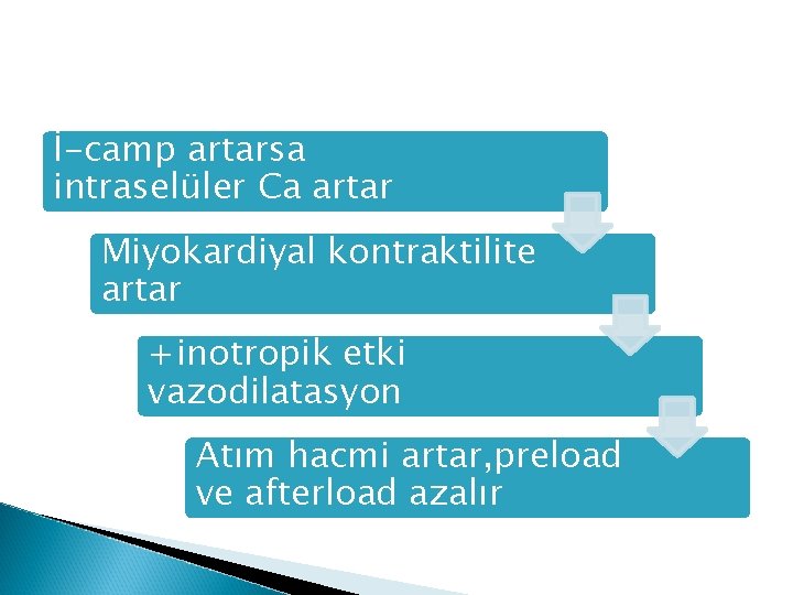 İ-camp artarsa intraselüler Ca artar Miyokardiyal kontraktilite artar +inotropik etki vazodilatasyon Atım hacmi artar,