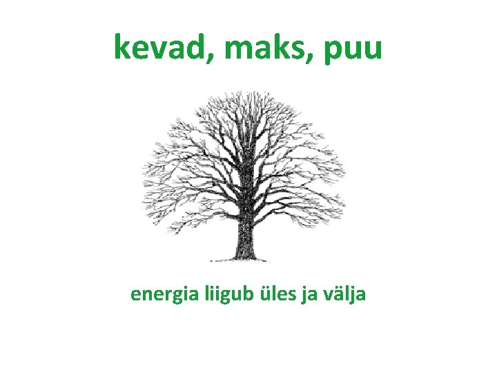 kevad, maks, puu energia liigub üles ja välja kevad, maks, puu energia liigub üles ja välja