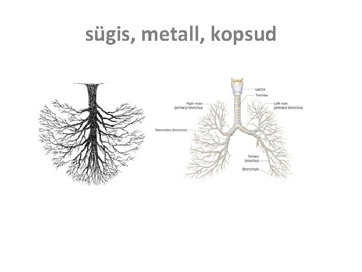 sügis, metall, kopsud sügis, metall, kopsud