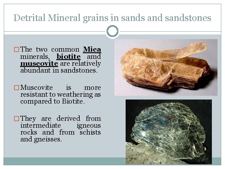 Detrital Mineral grains in sands and sandstones � The two common Mica minerals, biotite